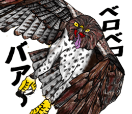 Martial eagle sticker #12264218