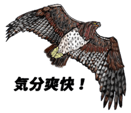 Martial eagle sticker #12264220