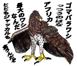 Martial eagle sticker #12264221