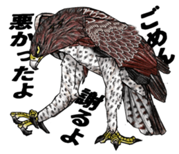 Martial eagle sticker #12264222