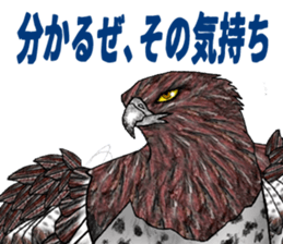 Martial eagle sticker #12264223
