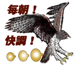 Martial eagle sticker #12264224