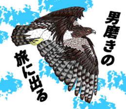 Martial eagle sticker #12264226