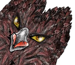 Martial eagle sticker #12264228