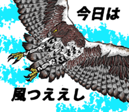 Martial eagle sticker #12264229