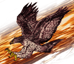 Martial eagle sticker #12264230