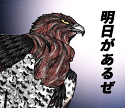 Martial eagle sticker #12264233