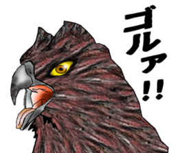 Martial eagle sticker #12264234