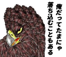 Martial eagle sticker #12264235