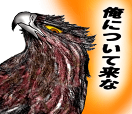 Martial eagle sticker #12264236
