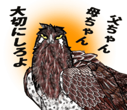 Martial eagle sticker #12264242