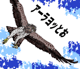Martial eagle sticker #12264243