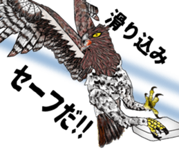Martial eagle sticker #12264245