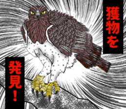 Martial eagle sticker #12264247
