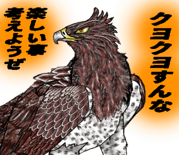 Martial eagle sticker #12264248