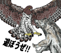 Martial eagle sticker #12264250