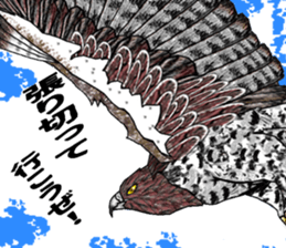 Martial eagle sticker #12264251
