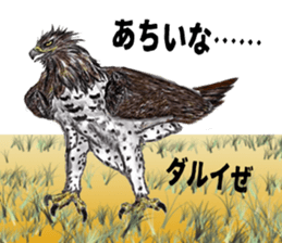 Martial eagle sticker #12264253