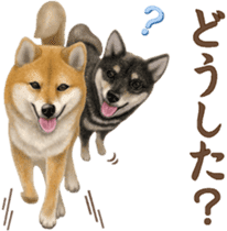 As expected! Shiba Inu [Smile] sticker #12268360