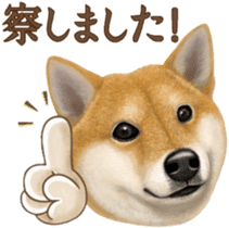 As expected! Shiba Inu [Smile] sticker #12268362