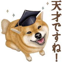 As expected! Shiba Inu [Smile] sticker #12268367