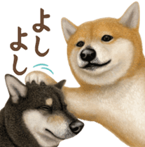 As expected! Shiba Inu [Smile] sticker #12268370