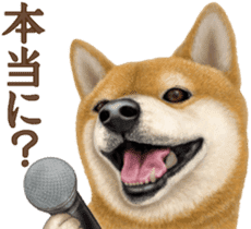 As expected! Shiba Inu [Smile] sticker #12268372