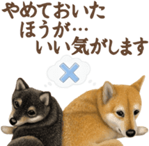 As expected! Shiba Inu [Smile] sticker #12268377