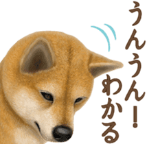 As expected! Shiba Inu [Smile] sticker #12268380