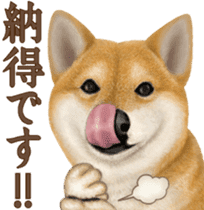As expected! Shiba Inu [Smile] sticker #12268386