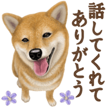 As expected! Shiba Inu [Smile] sticker #12268387