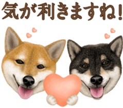 As expected! Shiba Inu [Smile] sticker #12268389