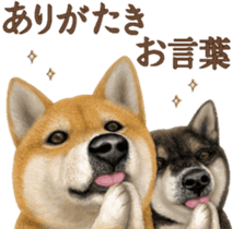 As expected! Shiba Inu [Smile] sticker #12268391