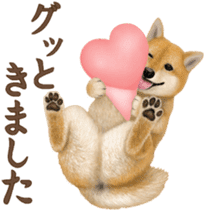 As expected! Shiba Inu [Smile] sticker #12268392
