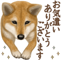 As expected! Shiba Inu [Smile] sticker #12268393
