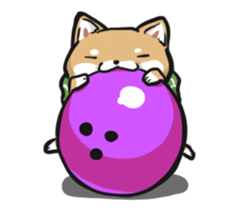 Japanese Shiba inu Sticker by marimochi sticker #12268813