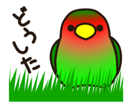Lovebird [Ver6](move/response No.2) sticker #12269033