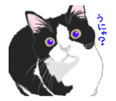Lovely kitten animation sticker sticker #12271718