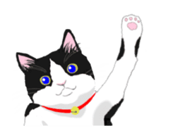 Lovely kitten animation sticker sticker #12271720
