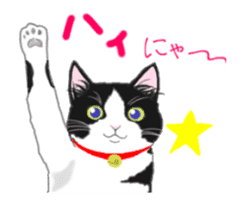 Lovely kitten animation sticker sticker #12271724