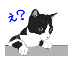 Lovely kitten animation sticker sticker #12271727