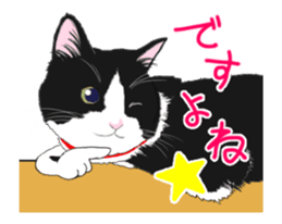 Lovely kitten animation sticker sticker #12271729
