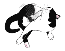 Lovely kitten animation sticker sticker #12271730