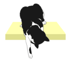 Lovely kitten animation sticker sticker #12271731