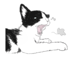 Lovely kitten animation sticker sticker #12271732