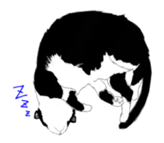 Lovely kitten animation sticker sticker #12271733