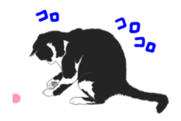 Lovely kitten animation sticker sticker #12271739