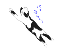Lovely kitten animation sticker sticker #12271741