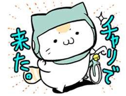 Bicycle cat sticker #12272907