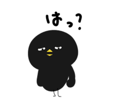 Black bird HIYOKO 3 sticker #12277031